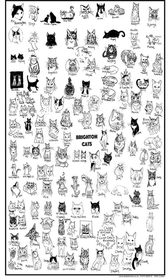 55543725_847601925586840_1689625247889752064_n