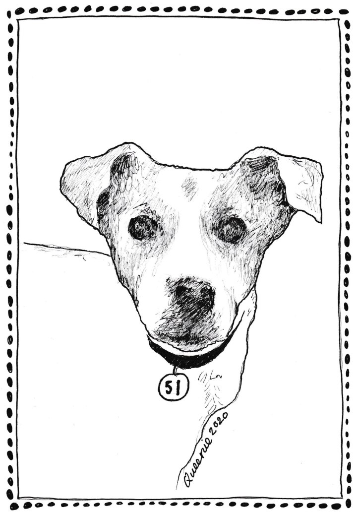 51_arnie_QueenJOsephine2020